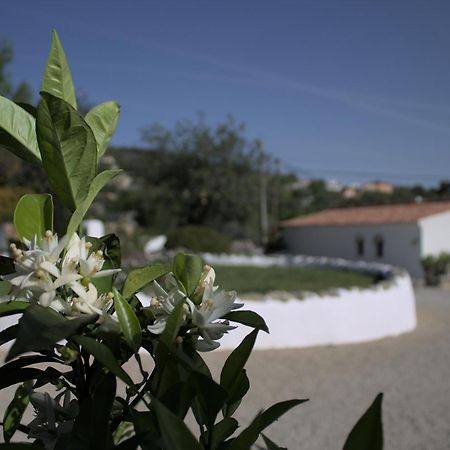 לואה Cosy Farmhouse Quinta Da Eira 140 Years Old מראה חיצוני תמונה